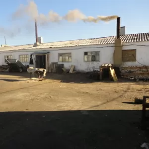 Продаю ферму в селе Красноярка.